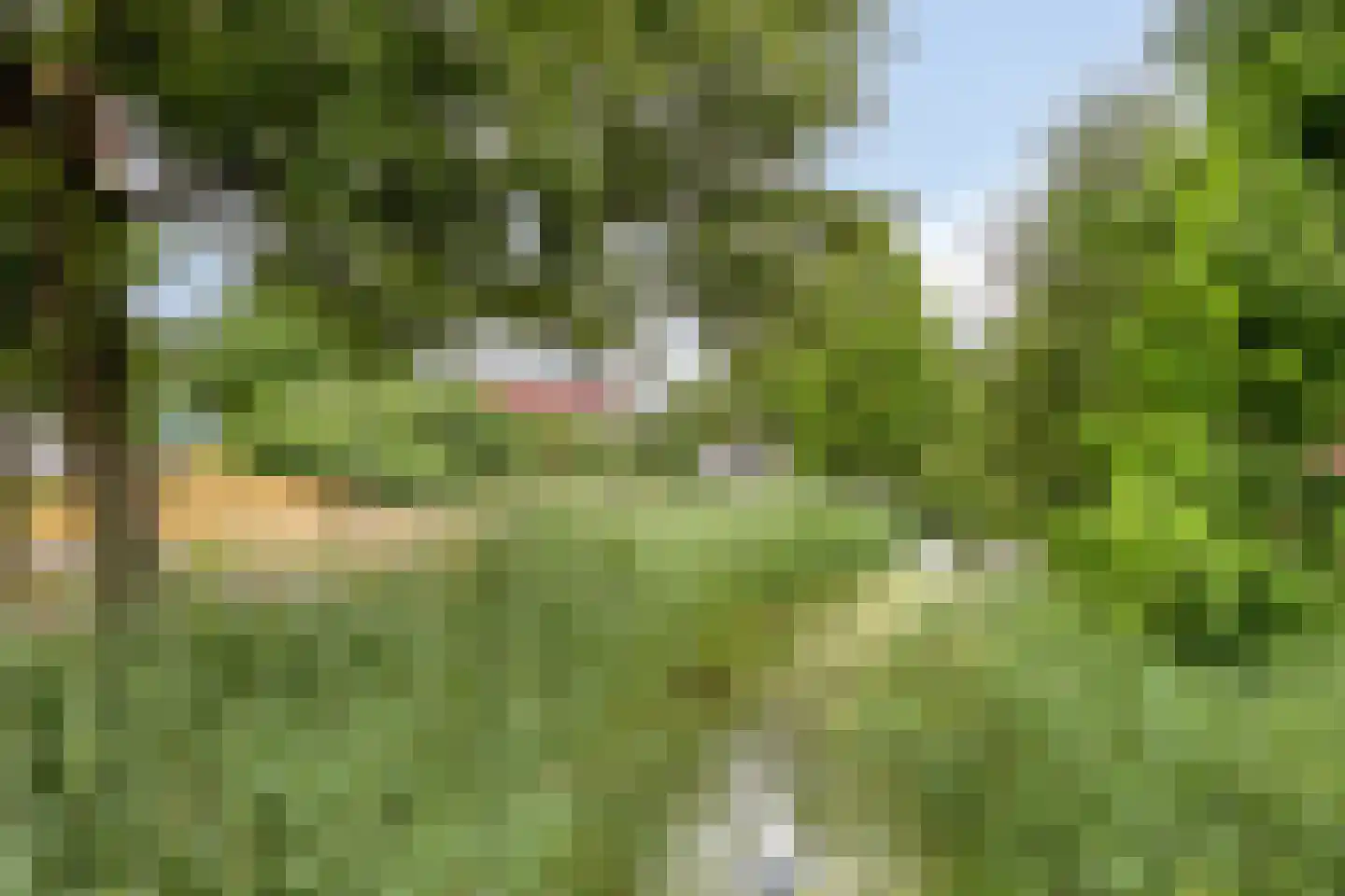 Meerval 102 Amersfoort thumbnail 37