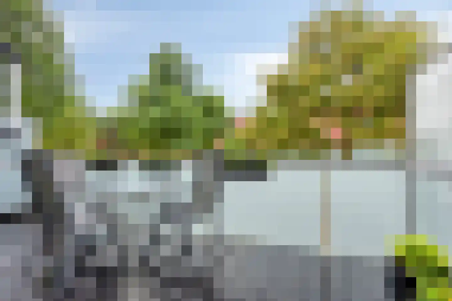 Meerval 102 Amersfoort thumbnail 5