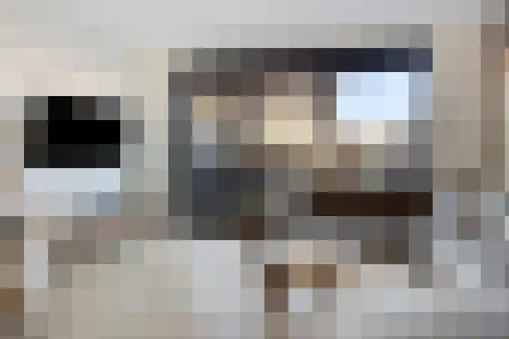Meerval 12 Waddinxveen thumbnail 10