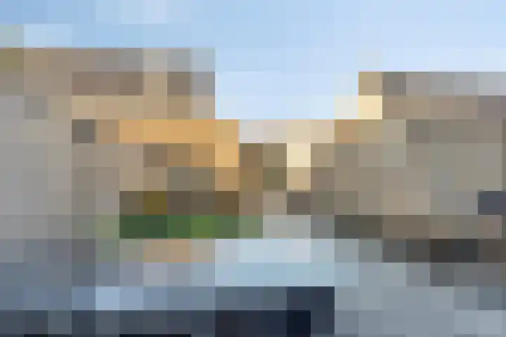 Meerval 12 Waddinxveen thumbnail 11