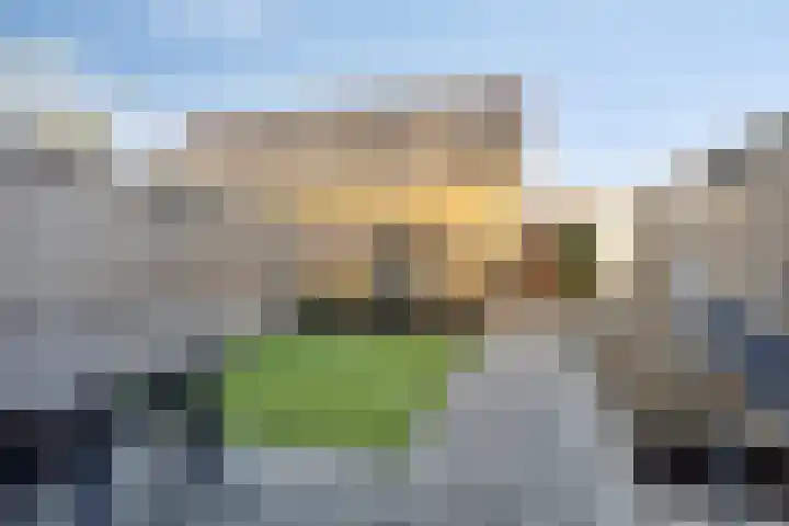 Meerval 12 Waddinxveen thumbnail 12