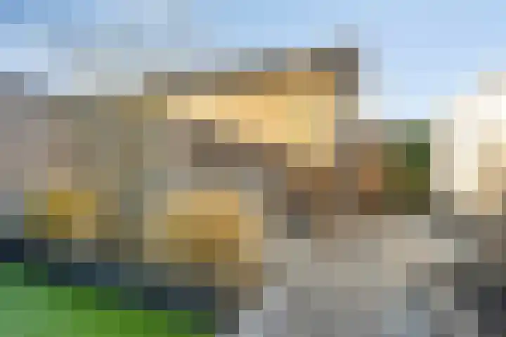 Meerval 12 Waddinxveen thumbnail 13