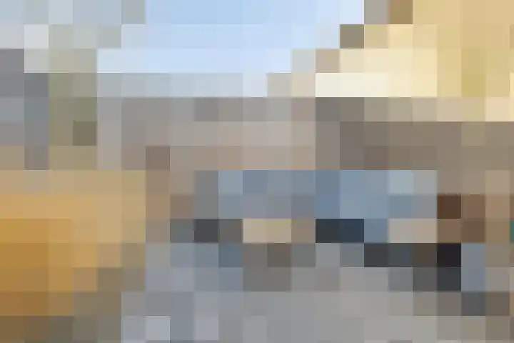 Meerval 12 Waddinxveen thumbnail 14