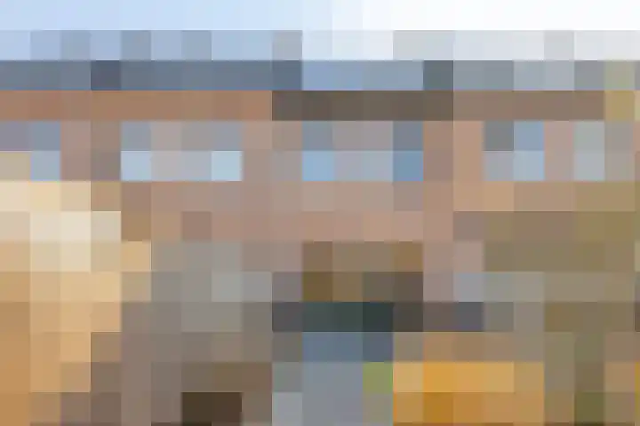 Meerval 12 Waddinxveen thumbnail 15