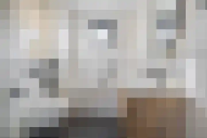 Meerval 12 Waddinxveen thumbnail 20