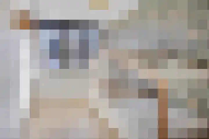Meerval 12 Waddinxveen thumbnail 23