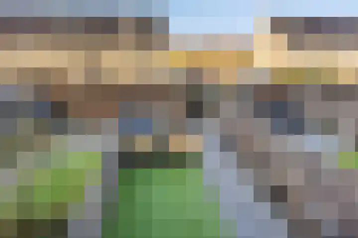 Meerval 12 Waddinxveen thumbnail 30