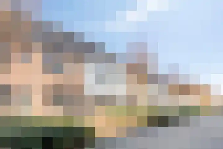Meerval 12 Waddinxveen thumbnail 31
