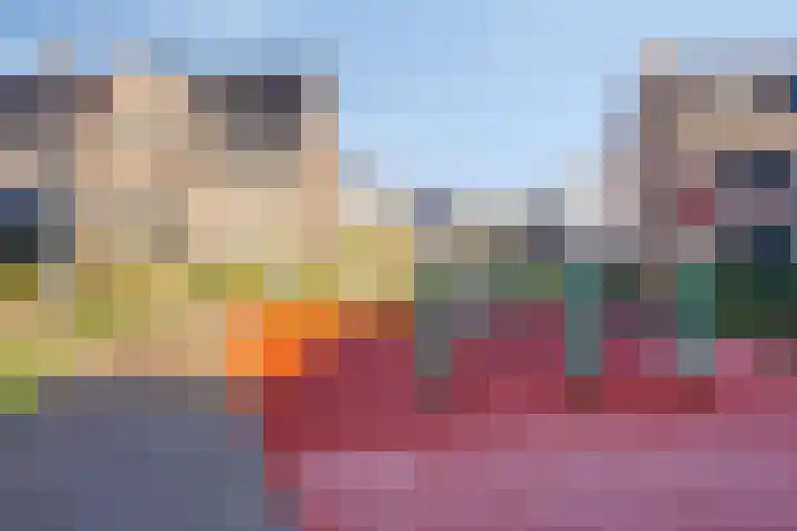 Meerval 12 Waddinxveen thumbnail 32
