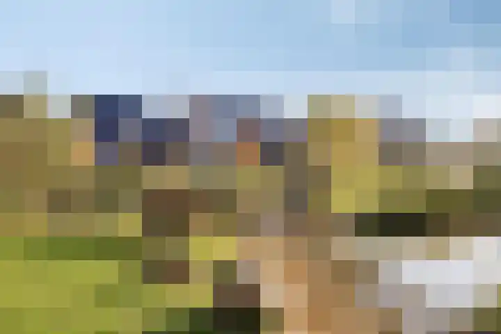 Meerval 12 Waddinxveen thumbnail 33