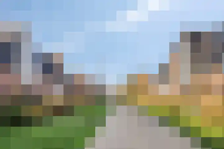 Meerval 12 Waddinxveen thumbnail 34