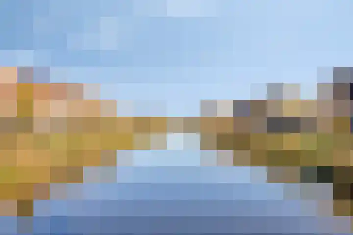 Meerval 12 Waddinxveen thumbnail 35