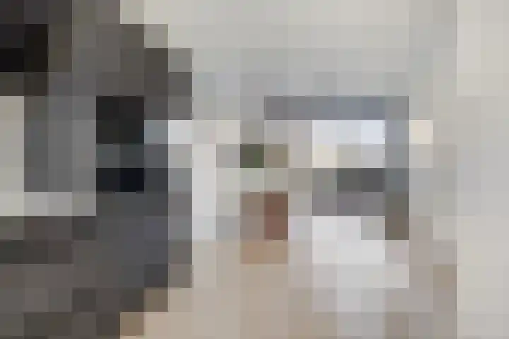Meerval 12 Waddinxveen thumbnail 5
