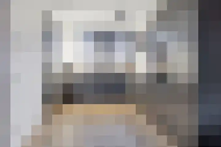 Meerval 12 Waddinxveen thumbnail 6