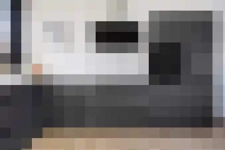Meerval 12 Waddinxveen thumbnail 7