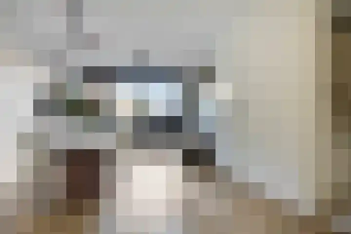 Meerval 12 Waddinxveen thumbnail 8