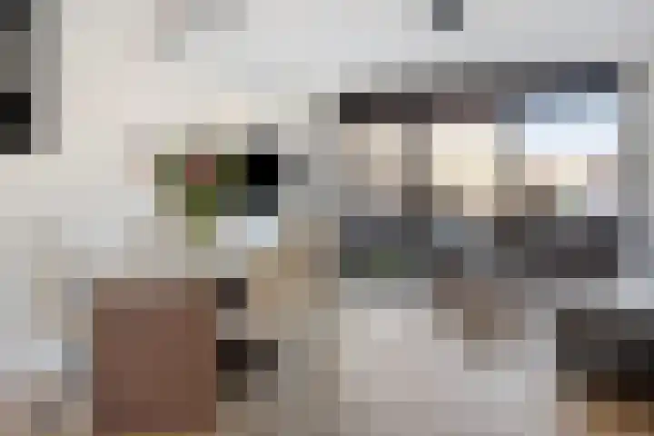 Meerval 12 Waddinxveen thumbnail 9