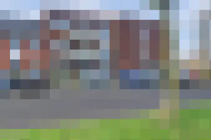 Meerval 125 Schagen