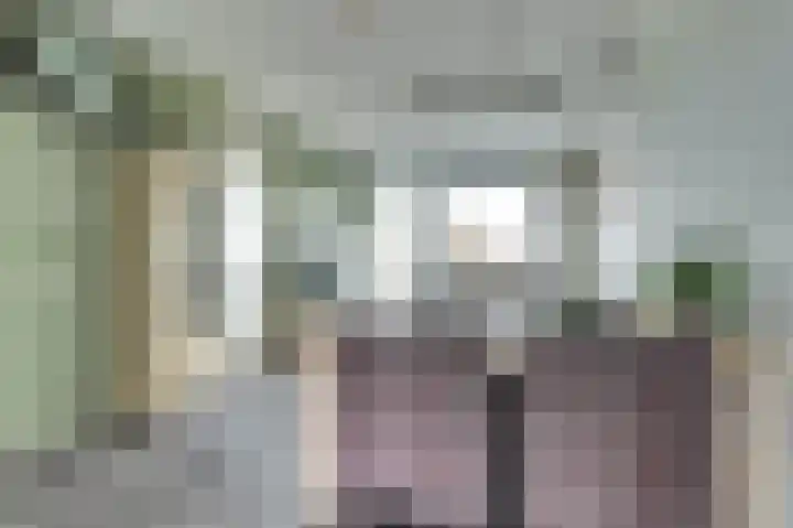 Meerval 125 Schagen thumbnail 11