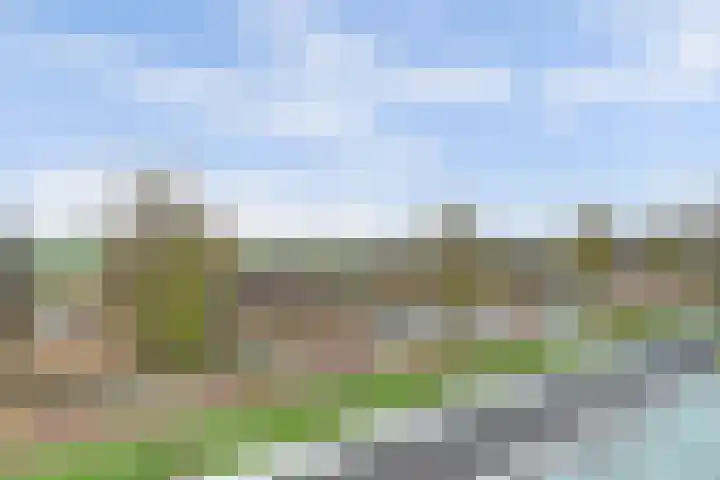 Meerval 125 Schagen thumbnail 17