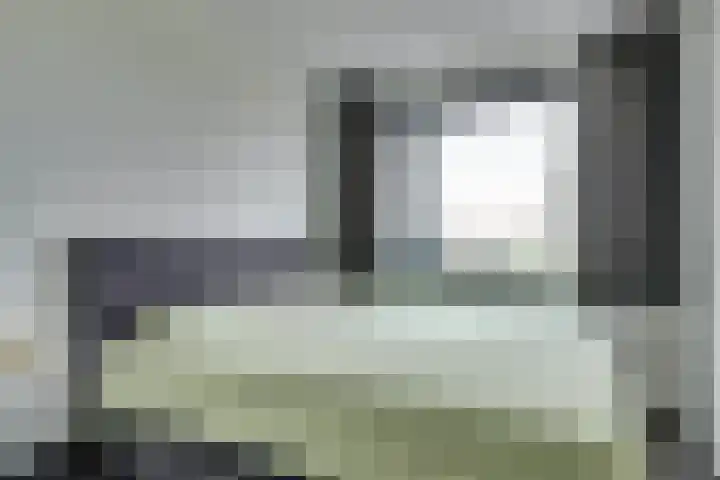 Meerval 125 Schagen thumbnail 19