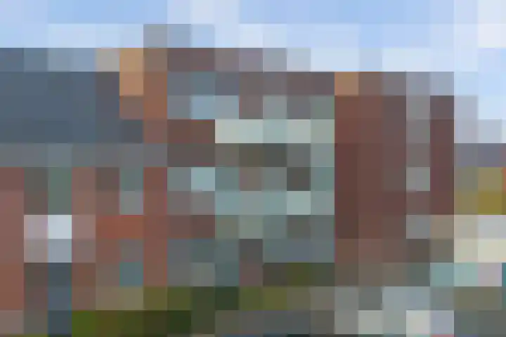 Meerval 125 Schagen thumbnail 25