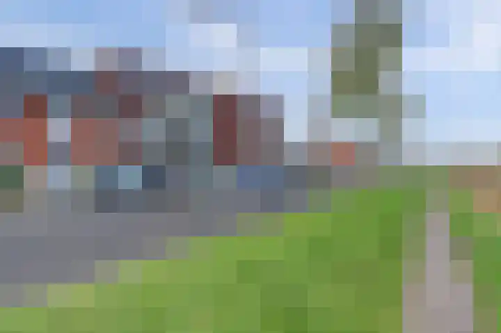 Meerval 125 Schagen thumbnail 26