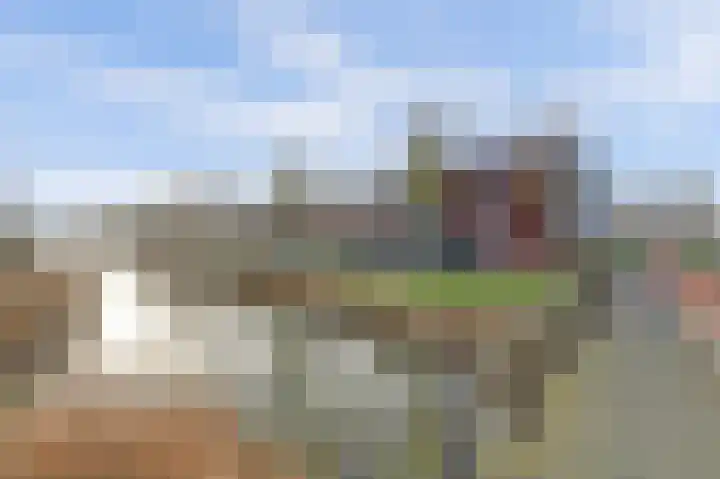 Meerval 125 Schagen thumbnail 27