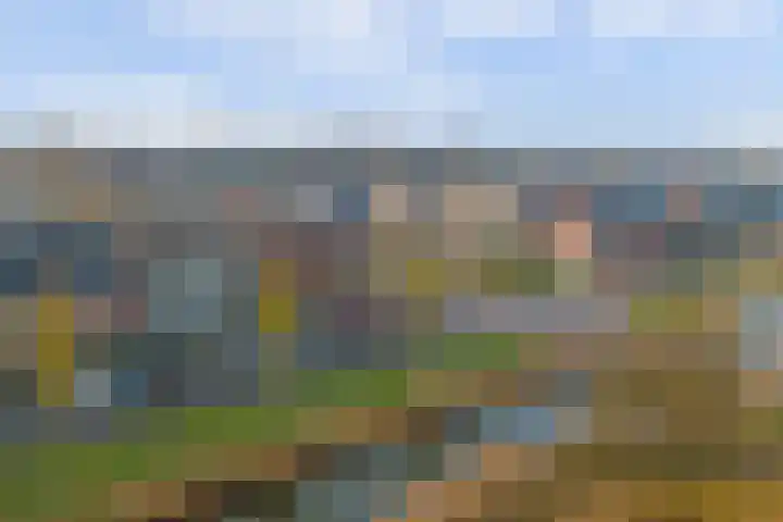 Meerval 125 Schagen thumbnail 28