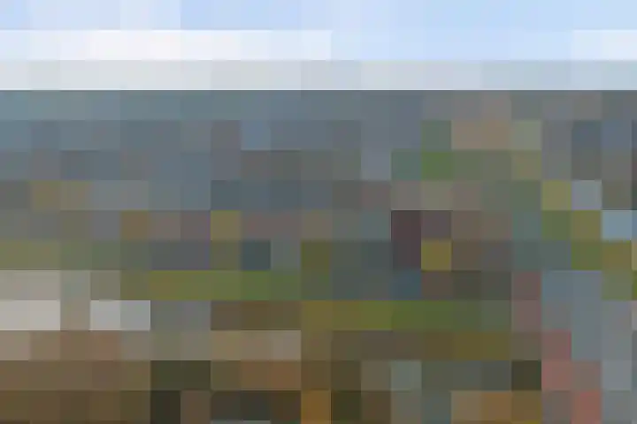 Meerval 125 Schagen thumbnail 29