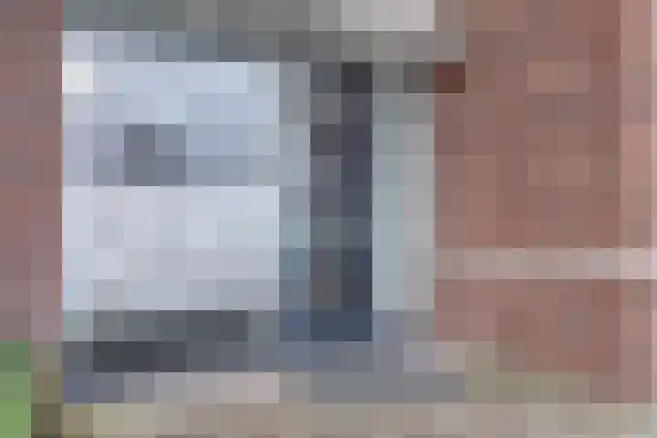 Meerval 125 Schagen thumbnail 5