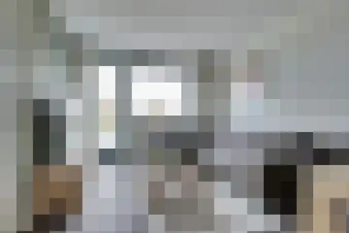 Meerval 125 Schagen thumbnail 9