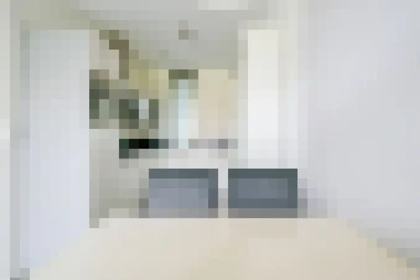 Meerval 133 Schagen thumbnail 17