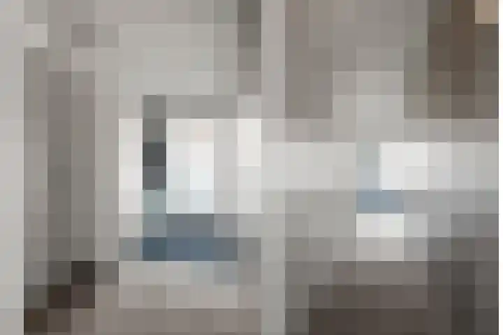 Meerval 134 Amersfoort thumbnail 32
