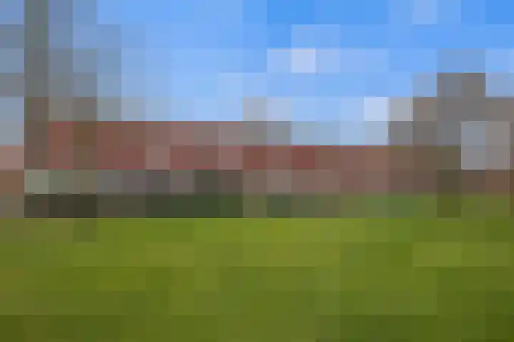 Meerval 134 Amersfoort thumbnail 4