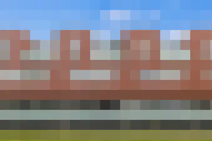 Meerval 134 Amersfoort thumbnail 5