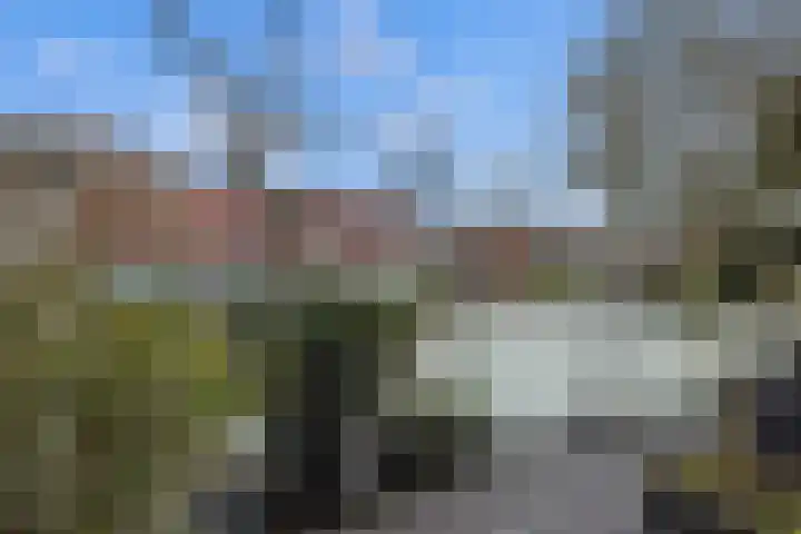Meerval 134 Amersfoort thumbnail 50