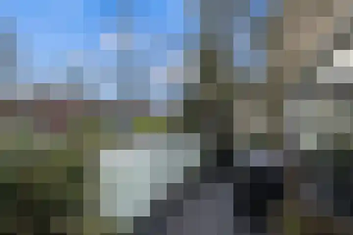 Meerval 134 Amersfoort thumbnail 51