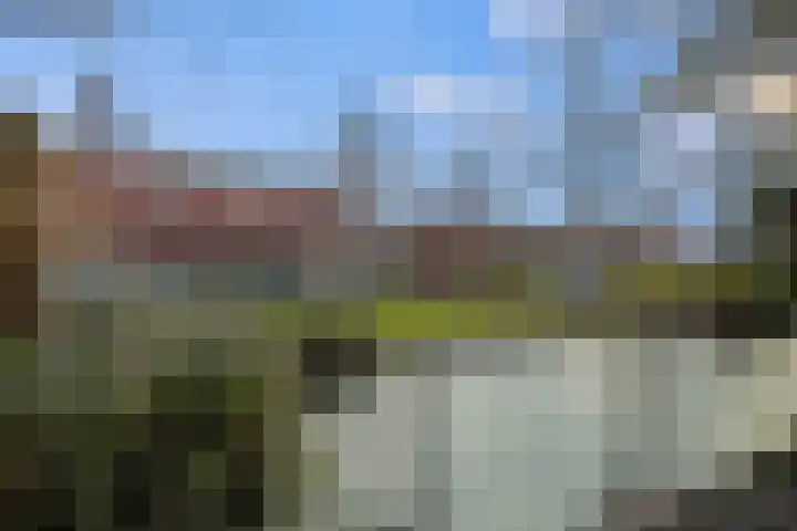 Meerval 134 Amersfoort thumbnail 52