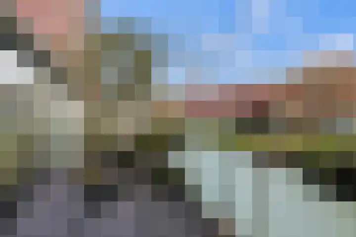 Meerval 134 Amersfoort thumbnail 53