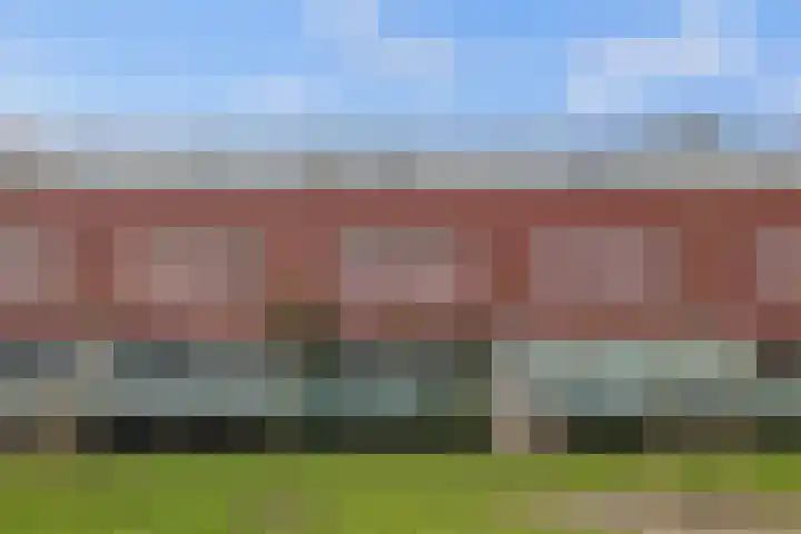 Meerval 134 Amersfoort thumbnail 55