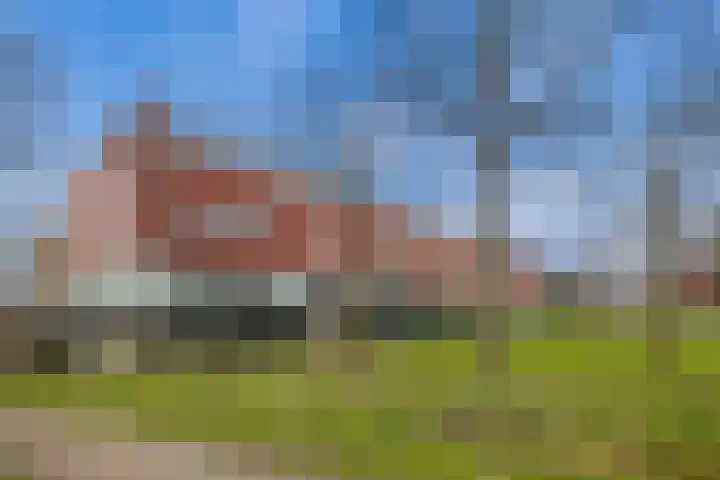 Meerval 134 Amersfoort thumbnail 56