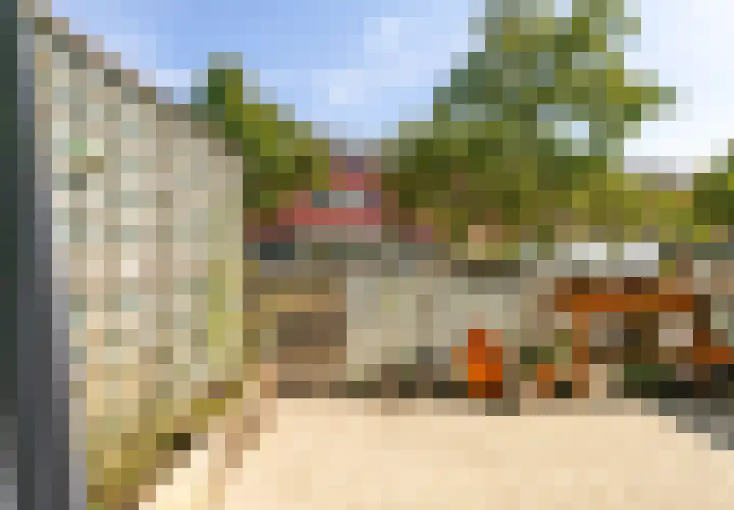 Meerval 150 Amersfoort thumbnail 14