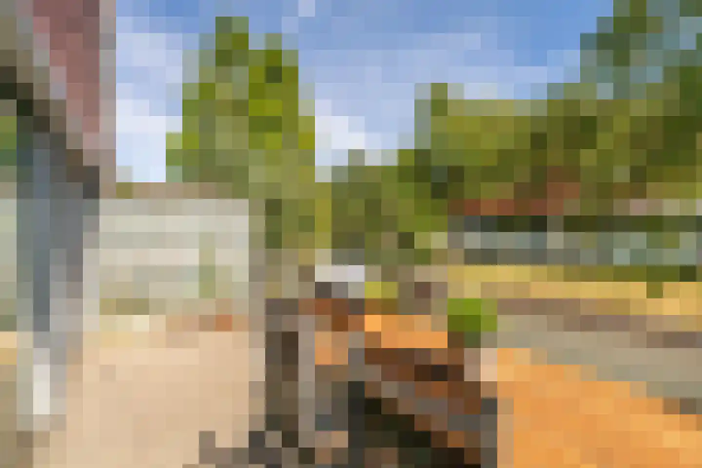 Meerval 150 Amersfoort thumbnail 15