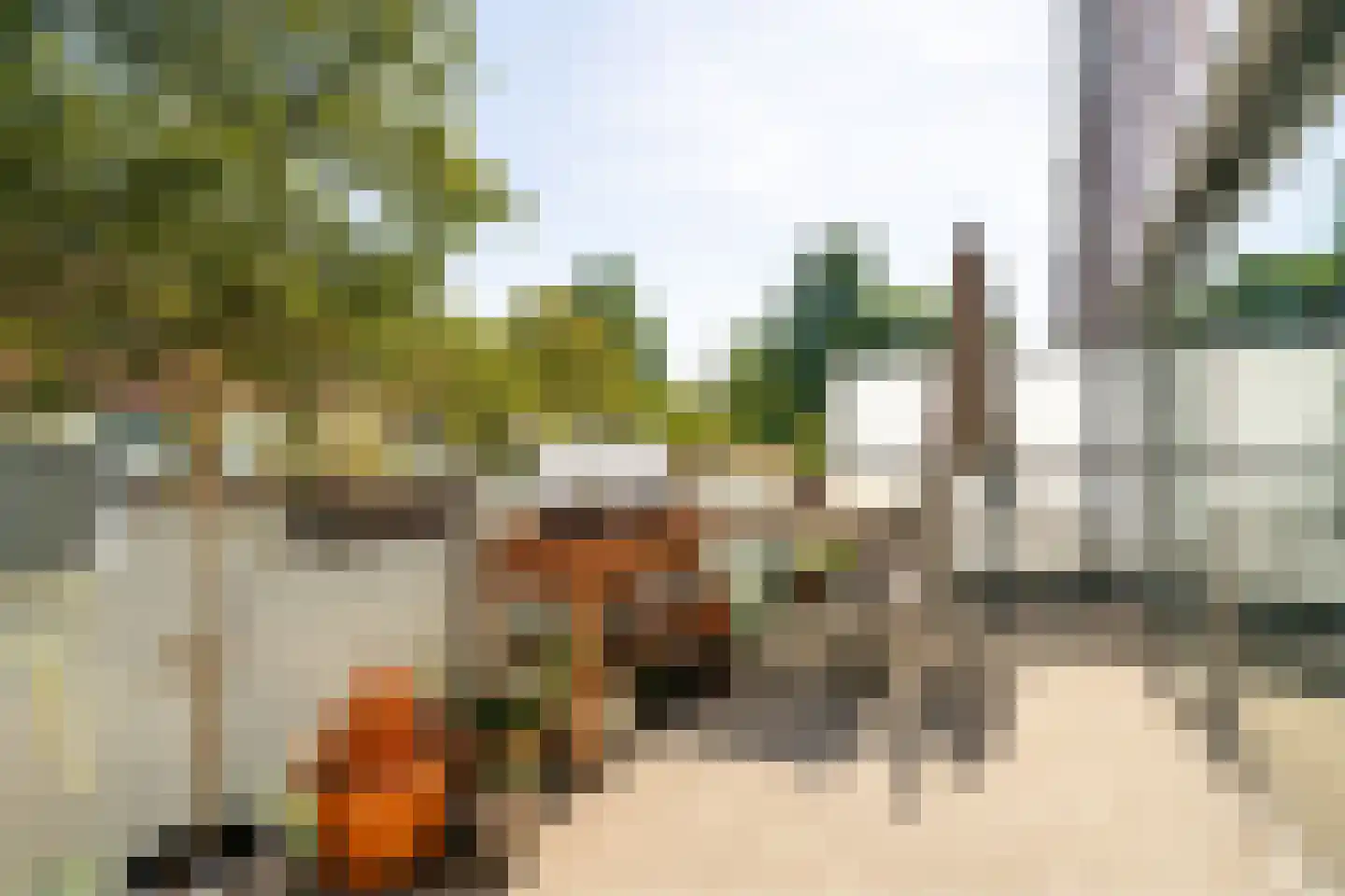 Meerval 150 Amersfoort thumbnail 16