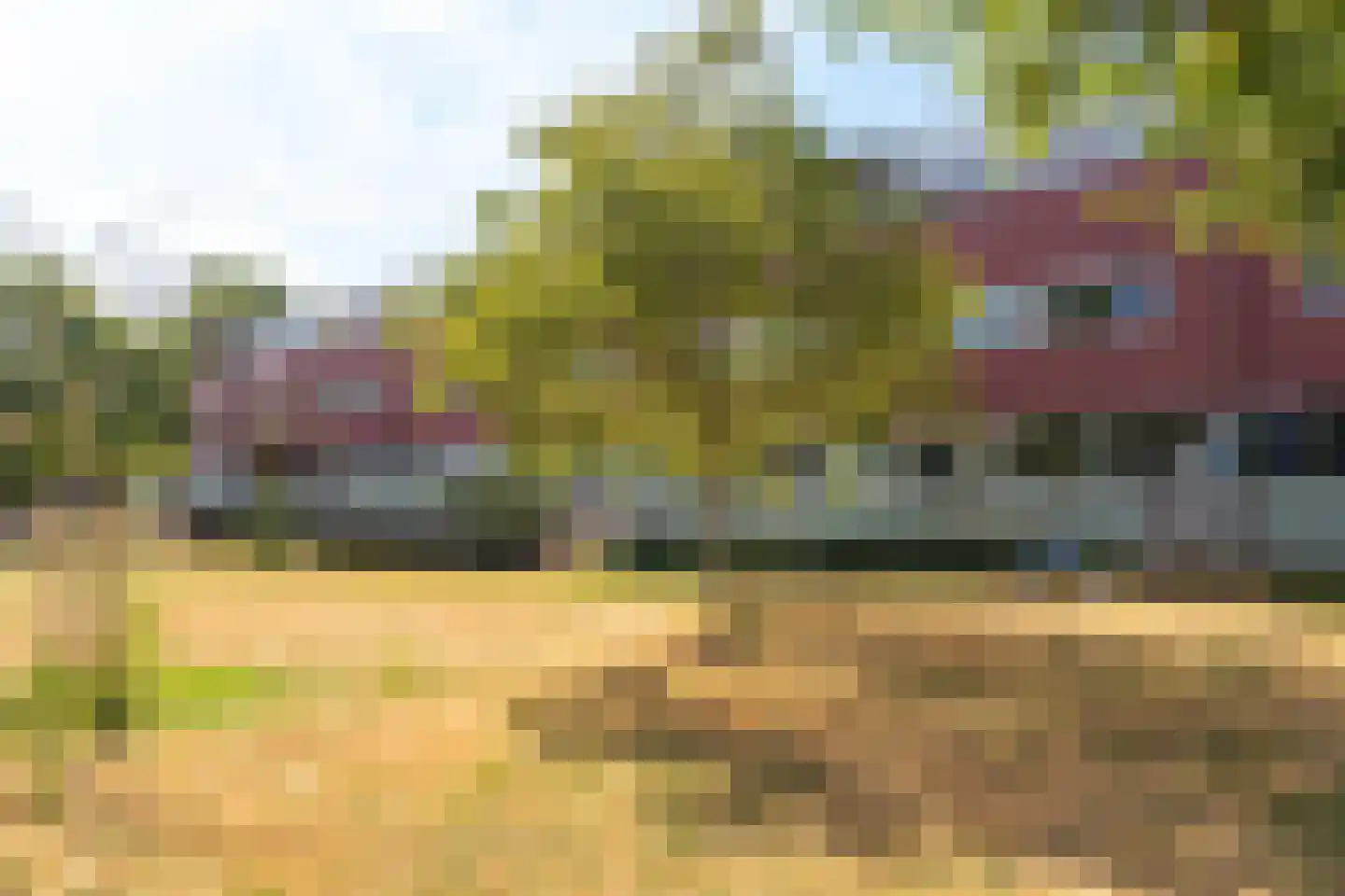 Meerval 150 Amersfoort thumbnail 17
