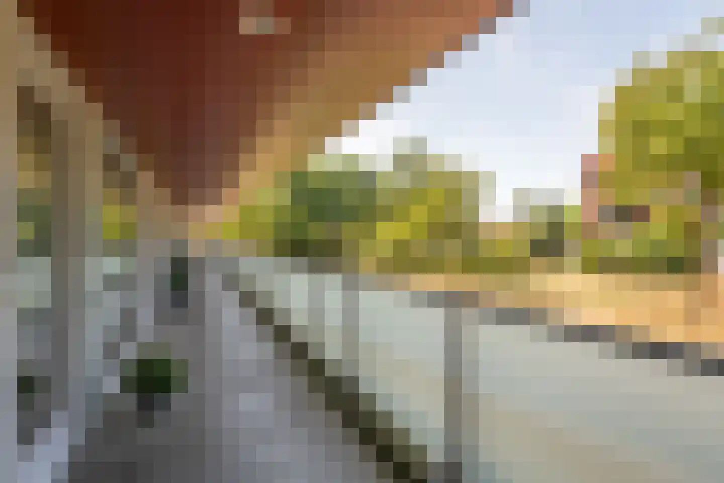 Meerval 150 Amersfoort thumbnail 34