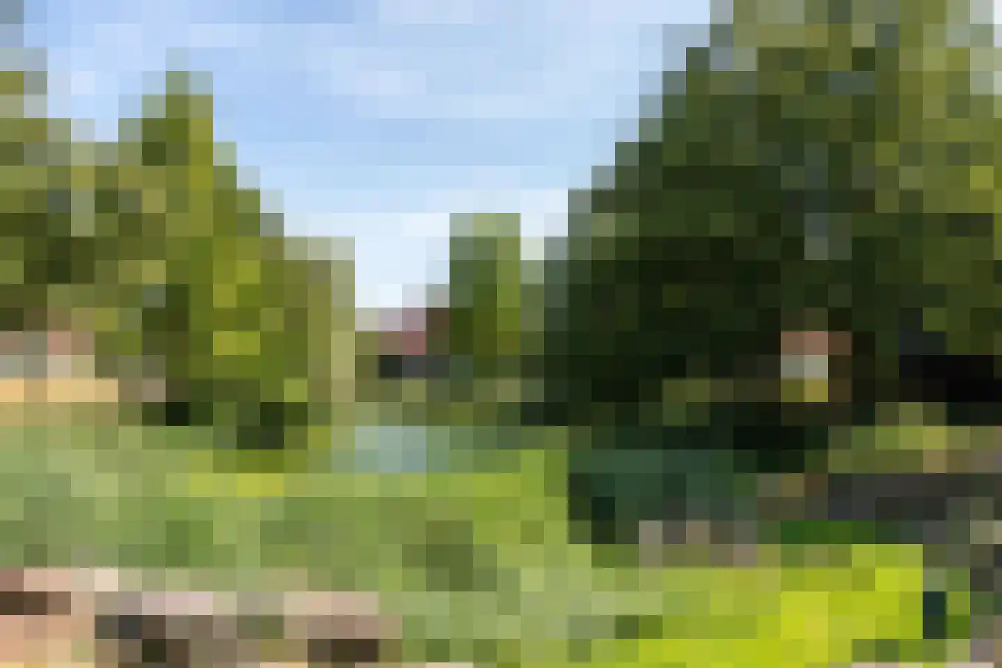 Meerval 150 Amersfoort thumbnail 35