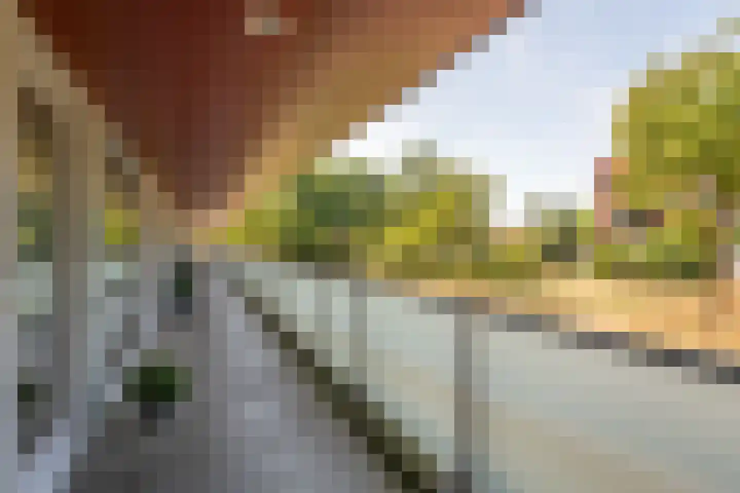 Meerval 150 Amersfoort thumbnail 35