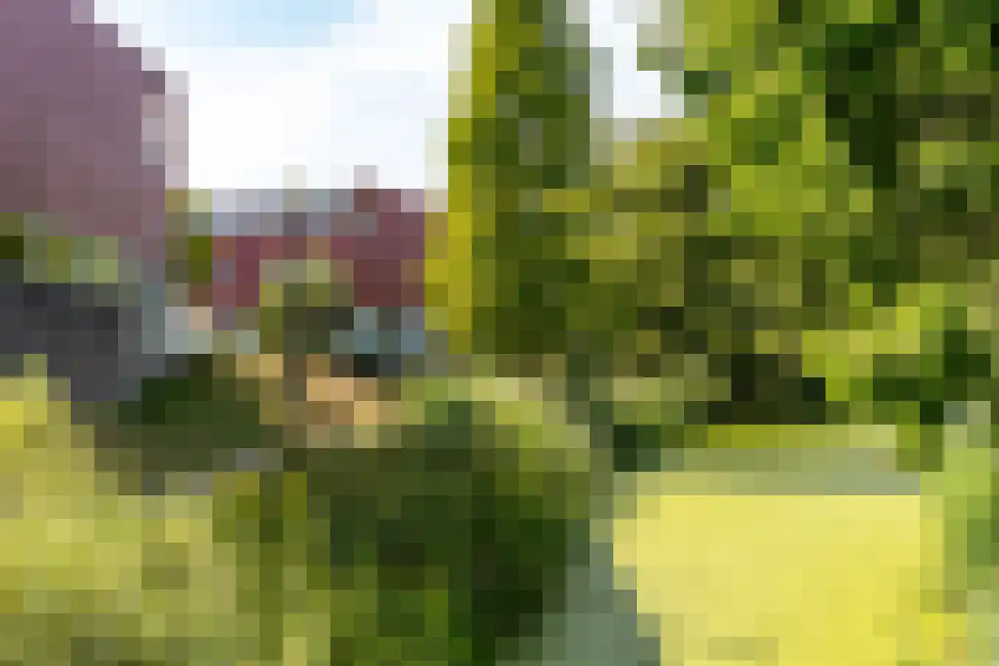 Meerval 150 Amersfoort thumbnail 37